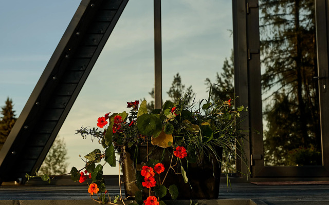 Dream House In Karelia Guest house