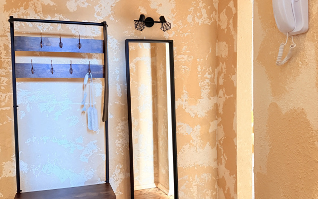 Kvartira Dvuska retro-loft centr