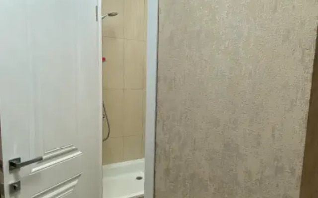 V Zheleznovodske Flat