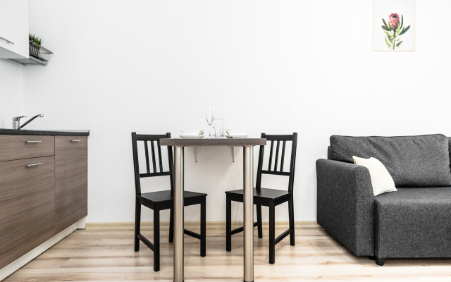 Апартаменты Pashk Inn Artek