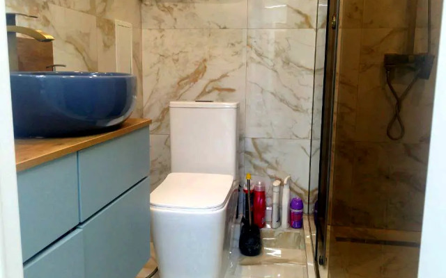 Квартира Проспект Имени Писателя Знаменского