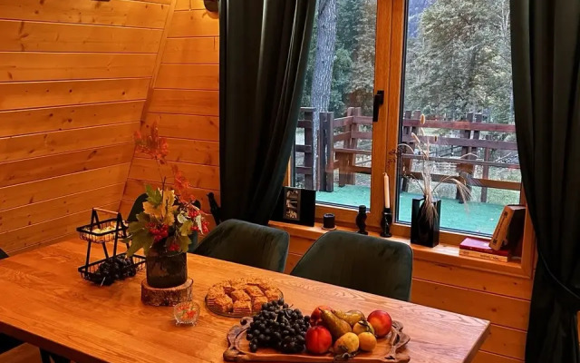 Private house A-Frejm S Dushoy