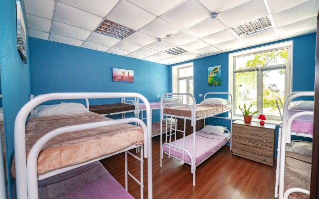 Hostel Dom