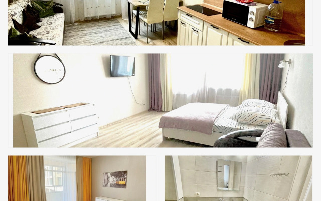 Квартира Большая Двухкомнатная в Центре Екатеринбурга