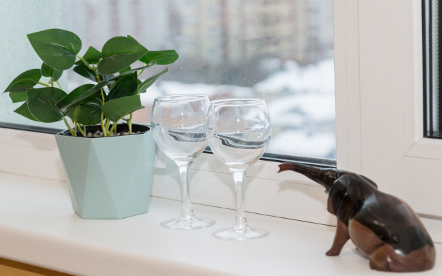 Solnechnaya Dvushka v Tsentre Flat