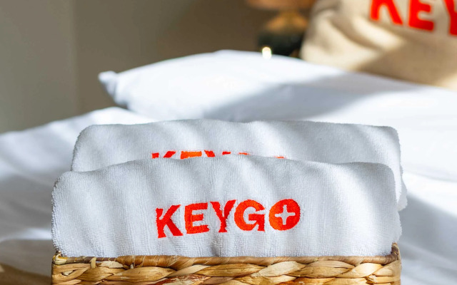 KeyGo #0043 komfort i uyut v gorode Apartments