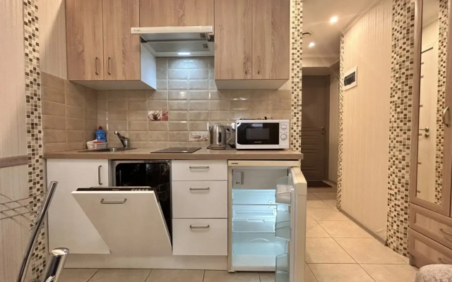 Апартаменты Да Винчи 3