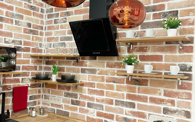 Apartamenty v stile Loft v centre goroda 811