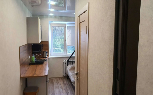 Mini Studiya Na Tolstogo 1 Flat