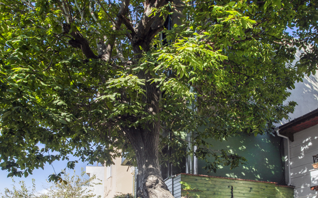 Garden House Hotel - Special Class