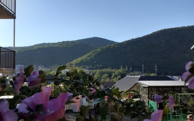 Usadba Agat Guest House