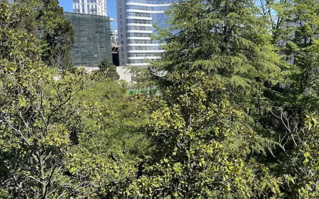 Svetlana-Tsentr u morya s vidom na sad magnoliy Apartaments