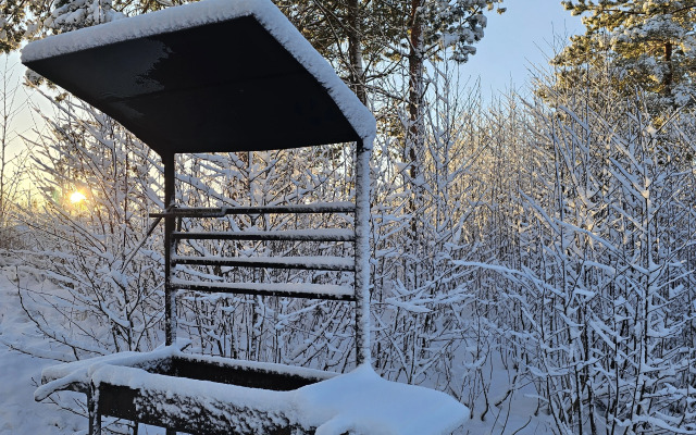 Коттедж Черничный Склон Small House