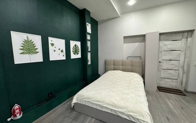 Studiya v tsentre goroda Flat