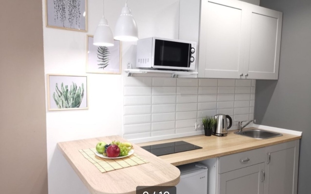 Studiya s balkonom Flat
