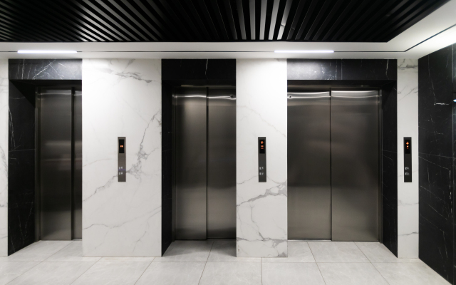 Abrikosovoye Derevo Na Kievskoy Apartment