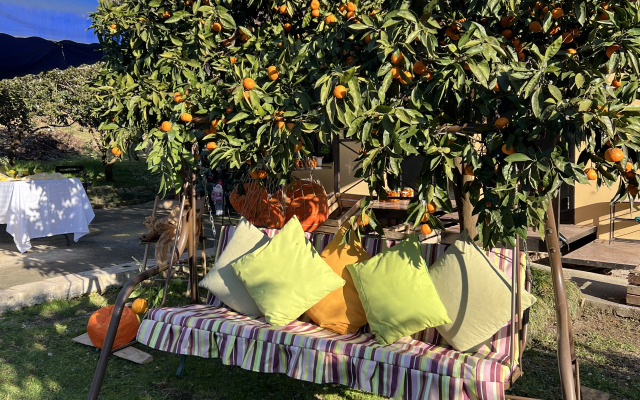 Mandarinovy Dvorik Private House