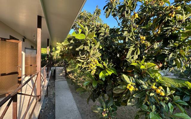 Novy Afon Guest house