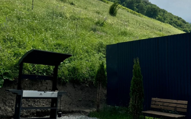 Частный дом 15.15.house_fiagdon