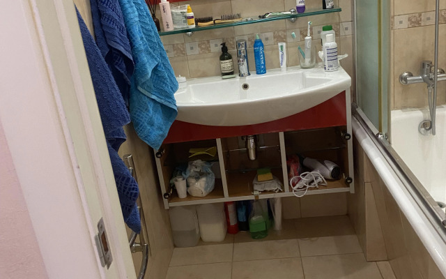 Viva RUDN Flat