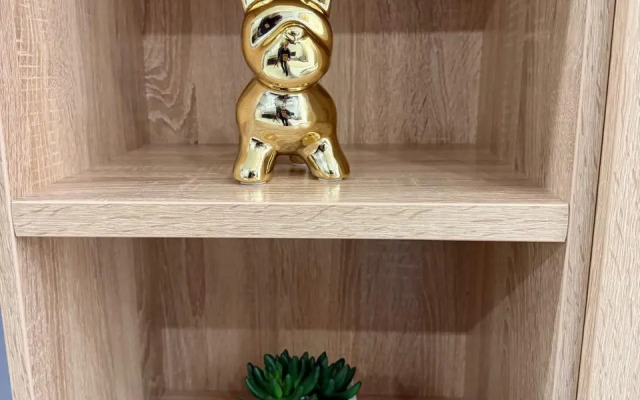 Студия ЖК ВТБ Арена парк