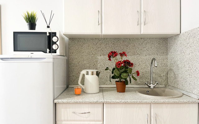 Апартаменты Суперская Студия на Городовикова 36 №2