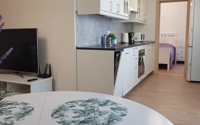 Апартаменты Классические с Балконом Skandi Klubb