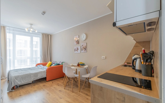 Apartment Standart SalutApart 8