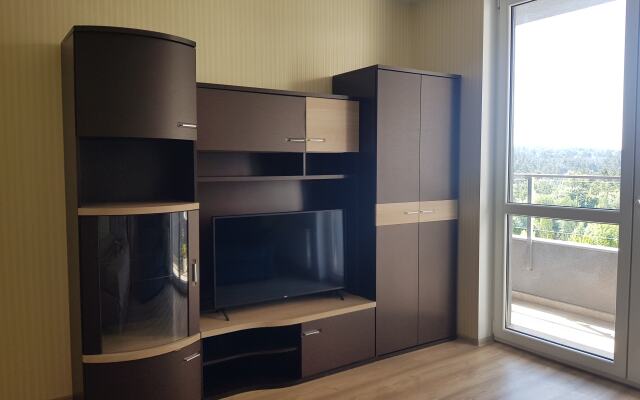 Квартира в Курортном Светлогорске-2