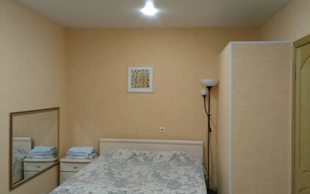 Апартаменты на Радищева