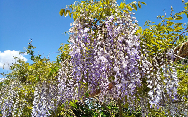 База отдыха Усадьба Оазис