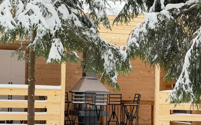 Частный дом Сфера в Лесу