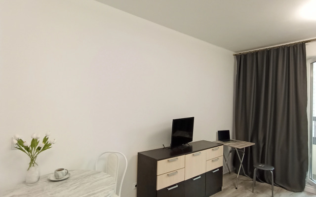 Studiya Pervaya Na Neve V Gorode Pervykh Flat