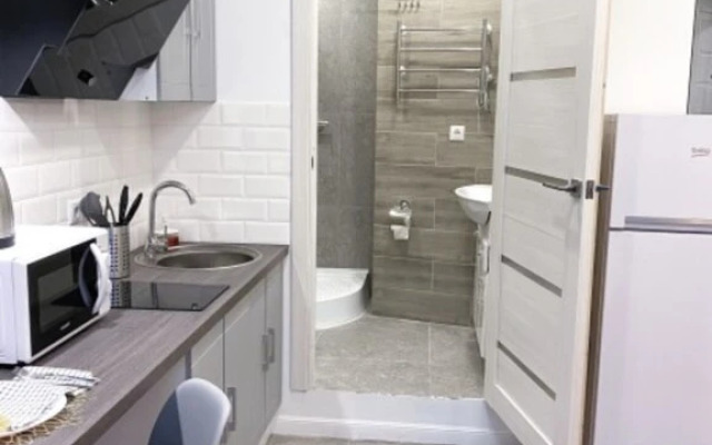 Апартаменты Студия Классическая на Курчатова 25/1