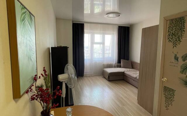 Studiya ryadom so Stolichnym rynkom g. Yakutska Flat