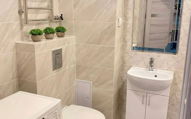 Квартира 2-комнатная студия в центре на Мичурина