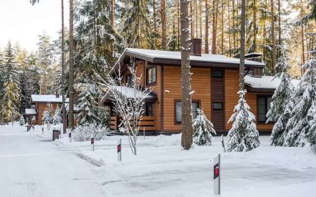 Okhta park Chalet