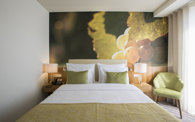 Douro Castelo Signature Butik-Hotel