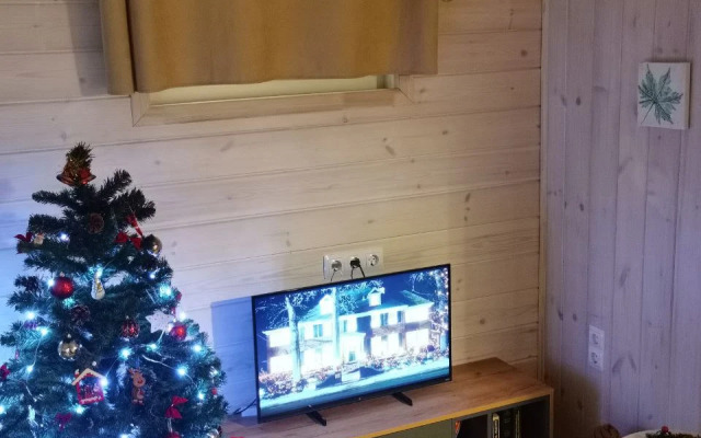 Частный дом в Снетково у озера