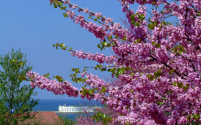 Iuzhnoberezhnyi Resort