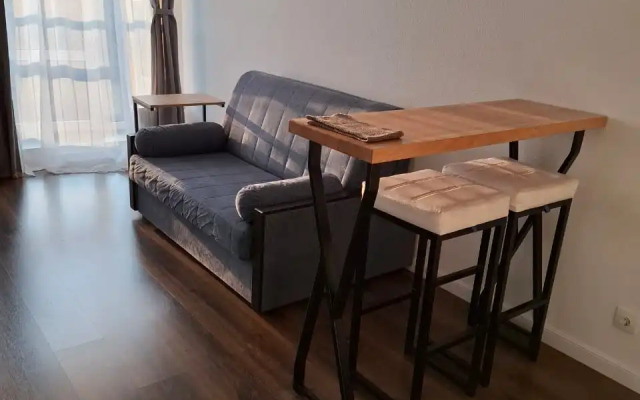 Studiya Na Beregu Zaliva Flat