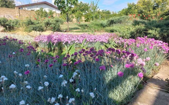 Гостевой дом Парк-отель Казантип Центр