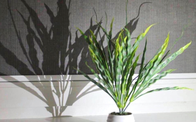 Апартаменты Star House Октябрьская 39