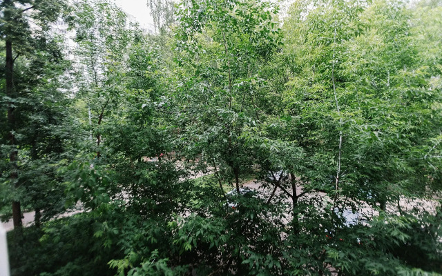 Апартаменты На Коцюбинского 5к1