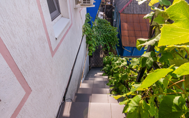 Квартира на Чкалова 15