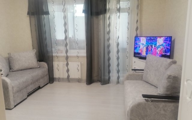 S Vidom Na Nevu Flat