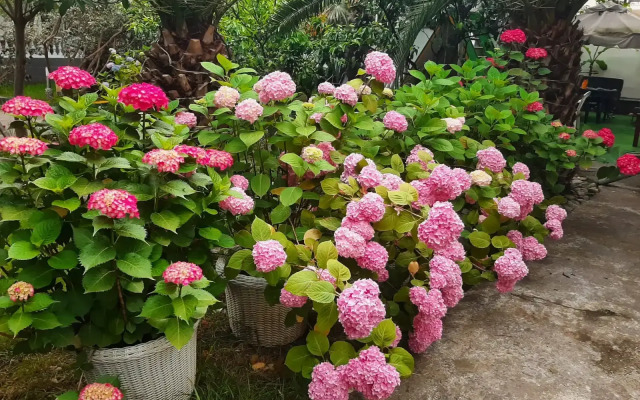 Гостевой дом Фиеста