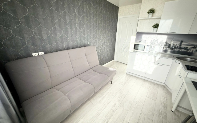 Квартира Белинского 137