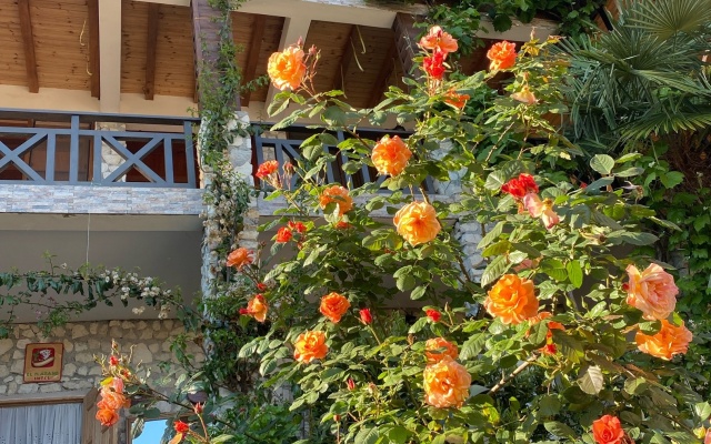 El Platano Guest House