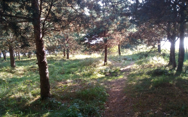 Holiday House Slobodka 74